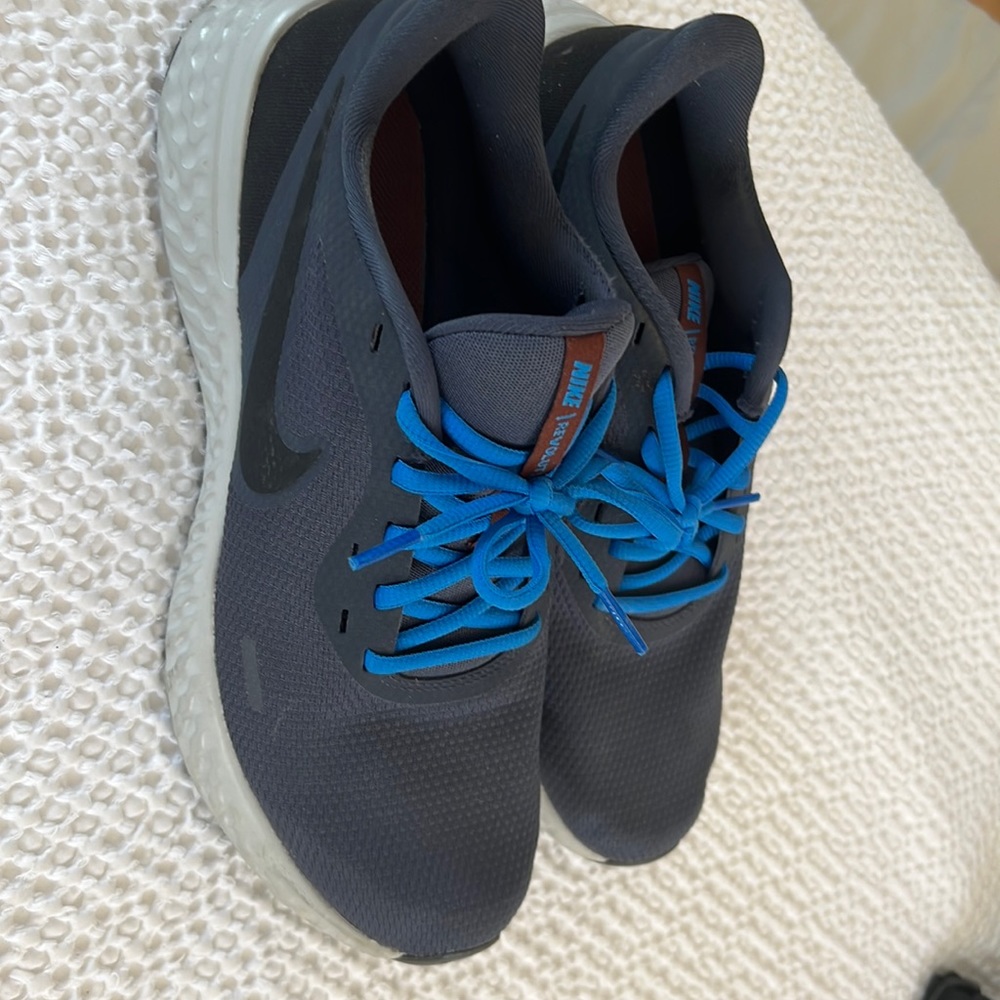 Nike Mens Revolution Running